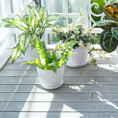 Plastic Flower Pot for Indoor Outdoor Hom...