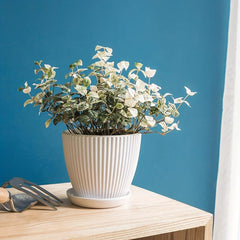 Plastic Flower Pot for Indoor Outdoor Hom...