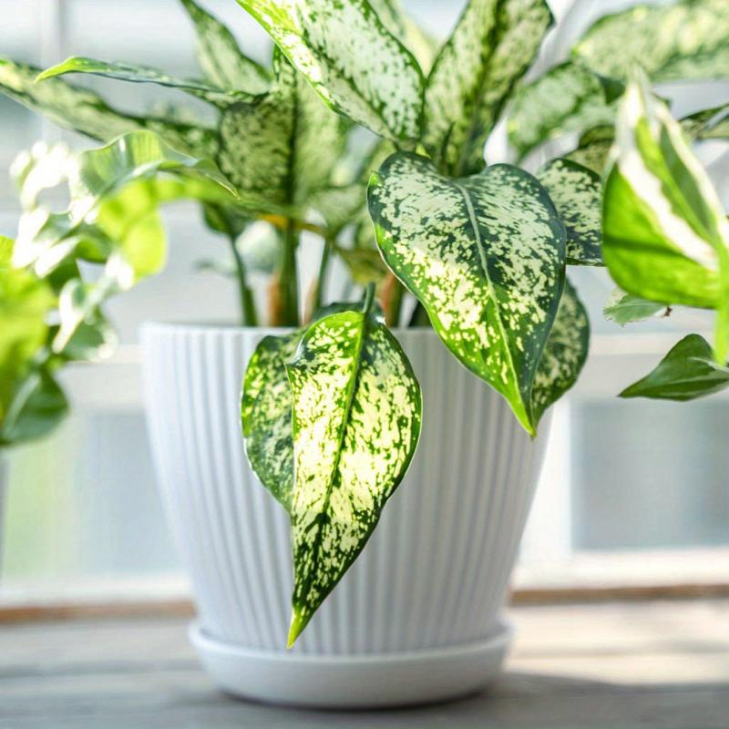 Plastic Flower Pot for Indoor Outdoor Hom...