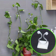 50pcs Climbing Wall Artifact for Green Plants, Self-adhesive Hook for Wall