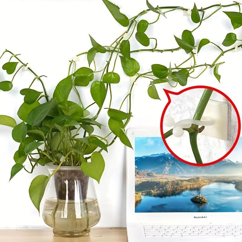 50pcs Climbing Wall Artifact for Green Plants, Self-adhesive Hook for Wall