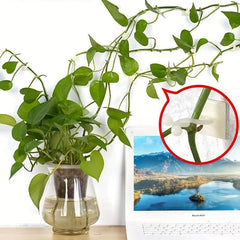 50pcs Climbing Wall Artifact for Green Plants, Self-adhesive Hook for Wall