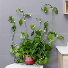 50pcs Climbing Wall Artifact for Green Plants, Self-adhesive Hook for Wall
