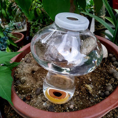 4pcs 300ML Self Watering Planter Insert Mushroom Shaped Automatic Plant Waterer
