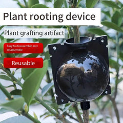 Plant Root Growing Box for Grafting Garden Propagation