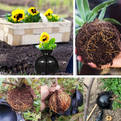 2pcs Air Layering Propagation Kit Grafting Ball Pods Clear Plant Rooting Box