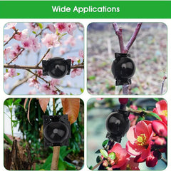 2pcs Air Layering Propagation Kit Grafting Ball Pods Clear Plant Rooting Box