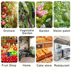Sticky Catcher Balls for Insects