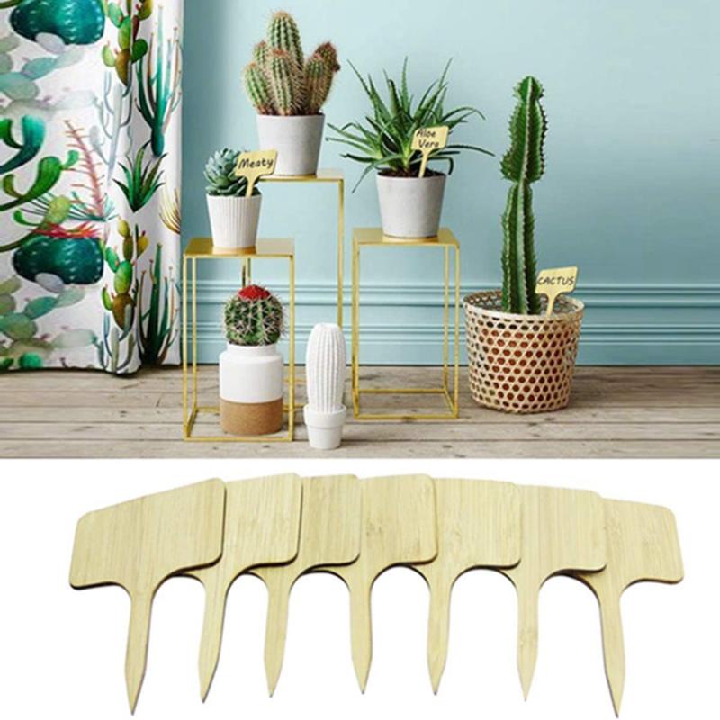 10pcs Wooden Plant Name Card Label for Succulents and Flowers
