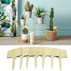 10pcs Wooden Plant Name Card Label for Succulents and Flowers