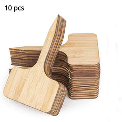 10pcs Wooden Plant Name Card Label for Succulents and Flowers