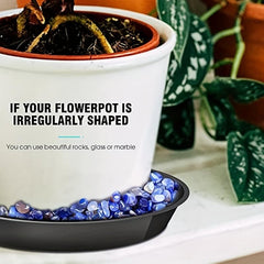 6pcs Plant Saucer Plastic Plant Tray 10 16 Cm Flower Pot Container Indoor Outdoo