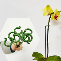 10pcs Reusable Plant Support Stakes for Butterflies Orchid Succulents Flower Sta