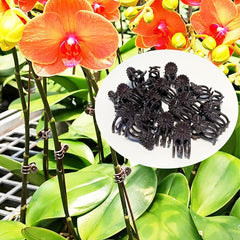 50pcs Orchid Clips for Plant Support & Climbing Vines
