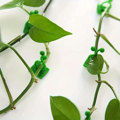10pcs Self Adhesive Garden Wall Plant Clips for Climbing Vines