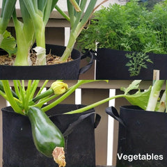 1pc Veg Flower Plant Grow Bags Fabric Pots With Handles