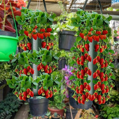 2 Hanging Strawberry Flowerpot Bags with 8 Holes for Tomato, Pepper - Vegetabl
