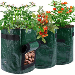 DIY Potato Grow Container Bag Planting Easy
