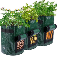 DIY Potato Grow Container Bag Planting Easy