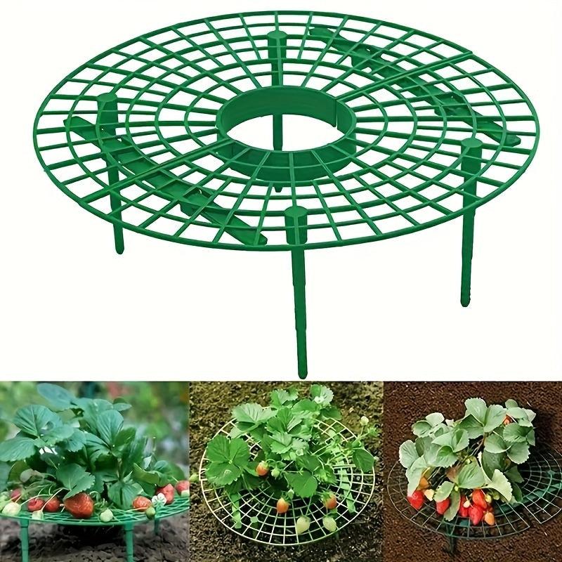 Anti Overturning Strawberry Plant Support Rack - Grow Tasty Strawberries at Home