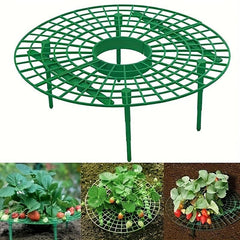 Anti Overturning Strawberry Plant Support Rack - Grow Tasty Strawberries at Home