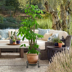 2pcs Plant Stand Flower Pot Holder Indoor Outdoor Metal Garden Rack Bronze