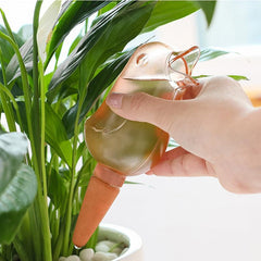 Automatic Flower Watering Device, Bird Design