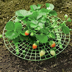 1pc Strawberry Supports Vegetable Rack Plant Climbing Vine Pillar Garden Decor