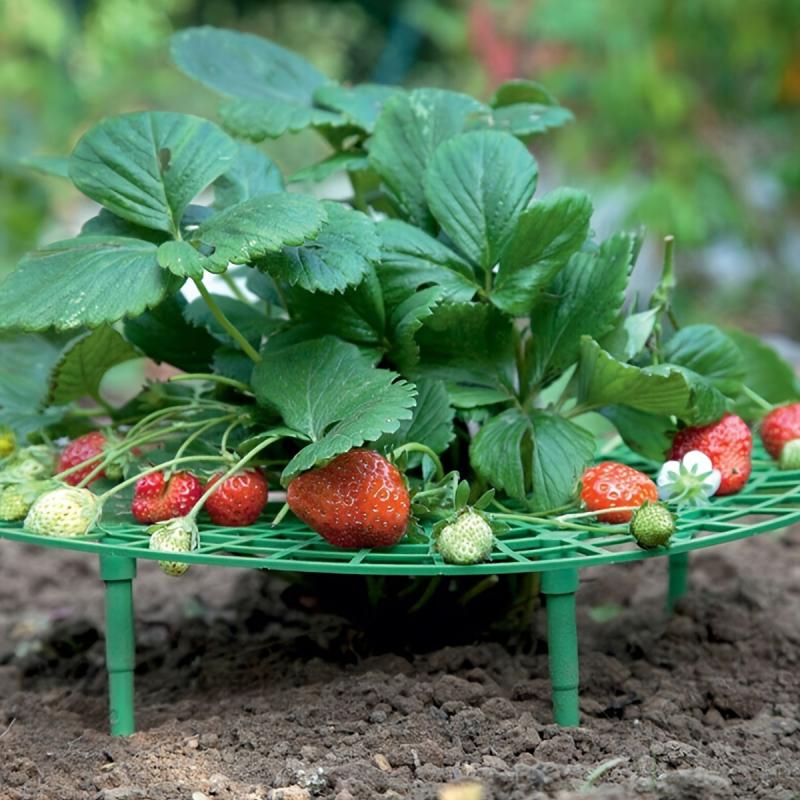 1pc Strawberry Supports Vegetable Rack Plant Climbing Vine Pillar Garden Decor