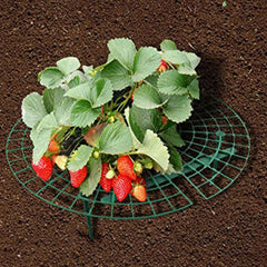 1pc Strawberry Supports Vegetable Rack Plant Climbing Vine Pillar Garden Decor