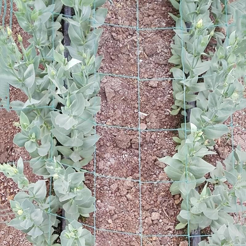 Plant Climbing Net Trellis Netting