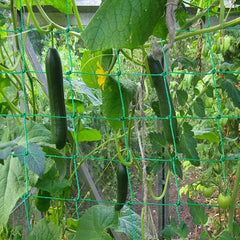 Plant Climbing Net Trellis Netting