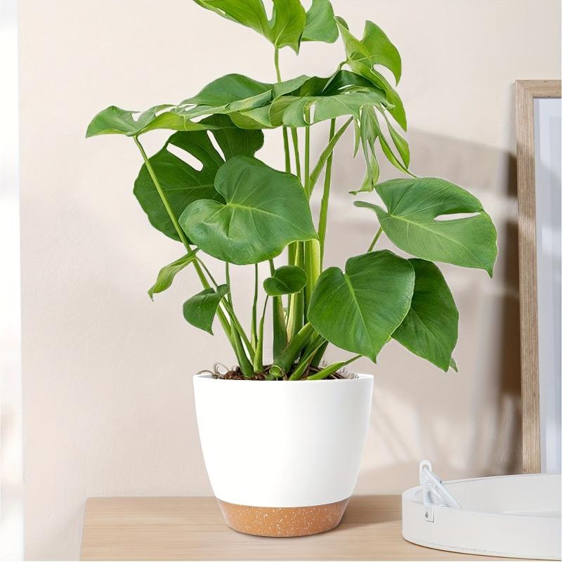 2pcs Plant Pots Set Of 2 Pack 20 32 Cm Planters For Indoor Plants