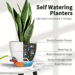 2pcs Plant Pots Set Of 2 Pack 20 32 Cm Planters For Indoor Plants