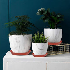 5pcs Terracotta Plastic Plant Saucer Plant Tray Flower Plant Pot Saucer