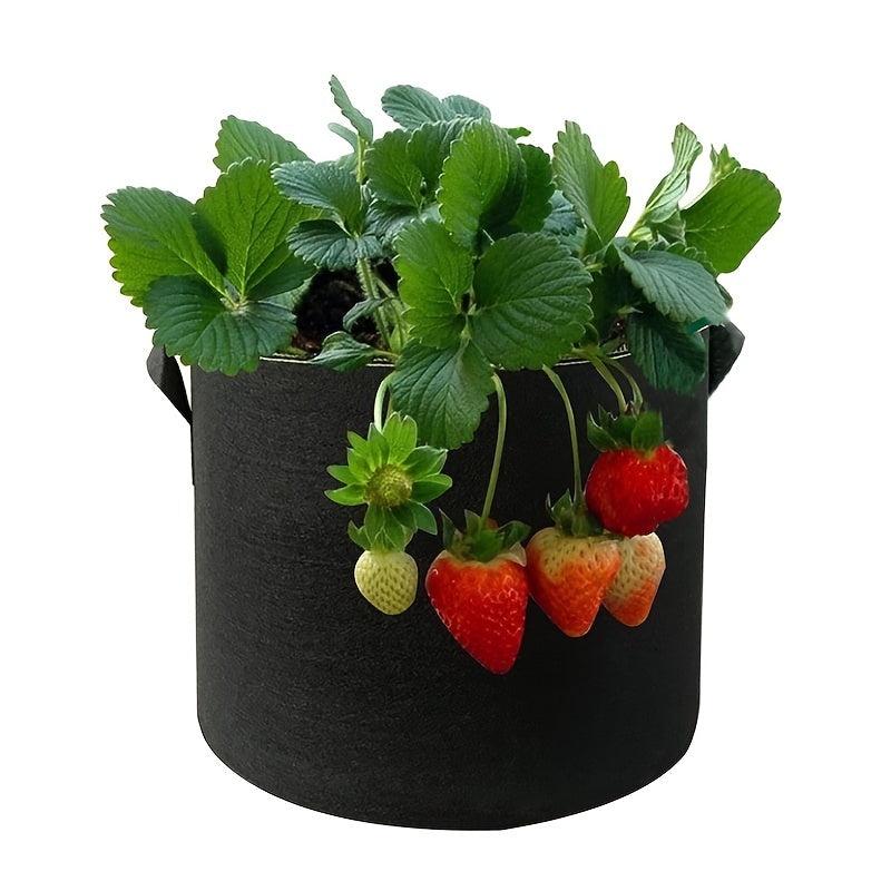 5 Pack Plant Grow Bags 1 2 3 5 7 10Gallons Heavy Duty Fabric Pots