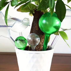 Clear Plant Watering Globes - Self Watering Bulbs