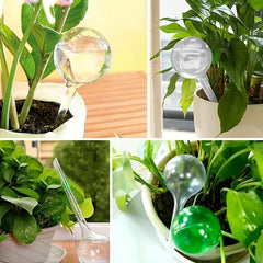 Clear Plant Watering Globes - Self Watering Bulbs