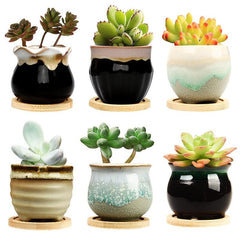 6pcs Ceramic Thumb Flower Pots Home Decor Indoor Outdoor Garden Patio