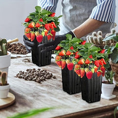 20-40 Reusable Plant Pots Indoor Outdoor Gardens w/ Drainage Holes