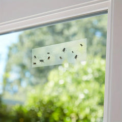 10pcs Clear Window Fly Traps Sticky Fly Strip For Indoor Houseflies