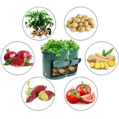Potato Growing Bags 10 Gallon Planting Pouch Vegetable Grow Container