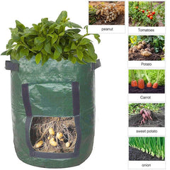 1pc Potato Grow Bag PE Vegetable Grow Bags With Handle Thickened Growing Bag