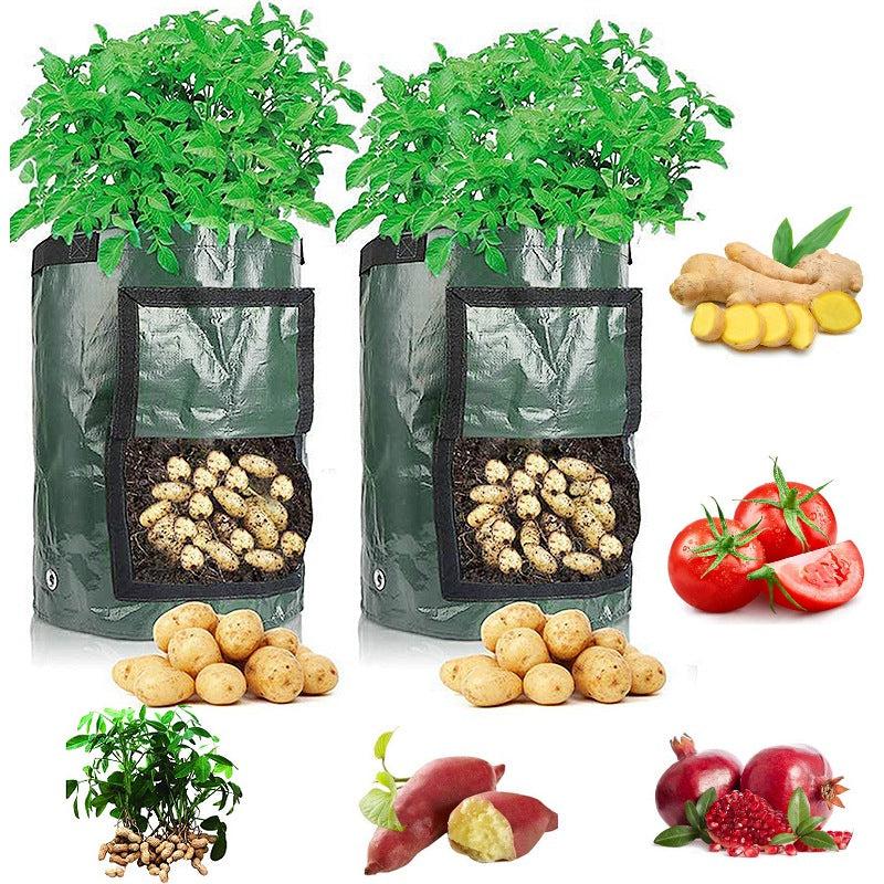 1pc Potato Grow Bag PE Vegetable Grow Bags With Handle Thickened Growing Bag