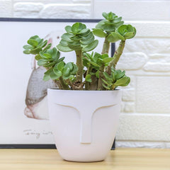 Plastic Flower Pot Melamine Plant Pot Home Garden Decor