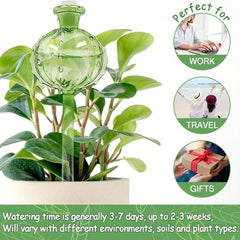 3pcs Cactus Self Watering Planter Insert Glass Plant Watering Globes