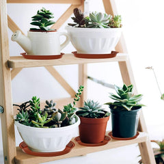 1pc Round Plastic Plant Saucers for Indoor and Outdoor Plant Container
