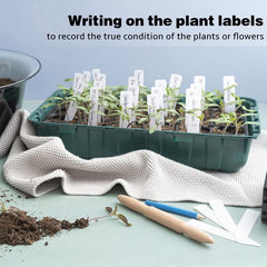 100pcs Plastic Plant Labels for Seedlings Garden Markers