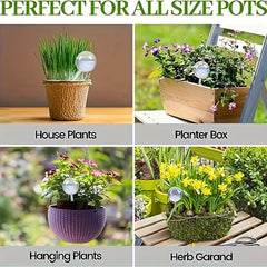 2pcs Rainbow Gradient Glass Plant Watering Globes Self Watering System