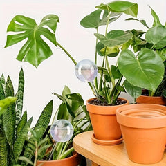 2pcs Rainbow Gradient Glass Plant Watering Globes Self Watering System